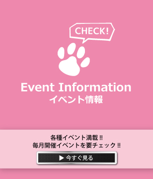 イベント情報